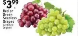 Met Foodmarkets Red or Green Seedless Grapes offer