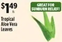Pioneer Supermarkets Tropical Aloe Vera Leaves offer
