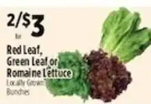 Pioneer Supermarkets Red Leaf, Green Leaf or Romaine Lettuce offer