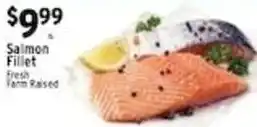 Met Foodmarkets Salmon Fillet offer