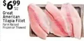 Met Foodmarkets Great American Tilapia Fillet offer