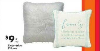 Big Lots Decorative Pillows offer