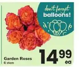 Safeway Garden Roses offer