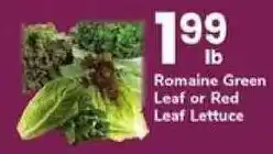 Safeway Romaine Green Leaf or Red Leaf Lettuce offer