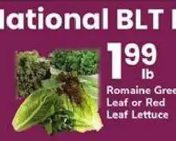 Safeway Romaine Green Leaf or Red Leaf Lettuce offer