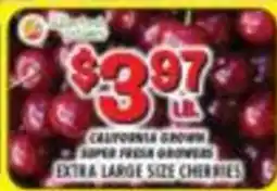 Miners County Market California grown super fresh growers extra large size cherries offer