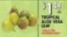 Pioneer Supermarkets Tropical Aloe Vera Soap offer
