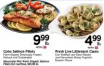 Tops Coho Salmon Fillets offer