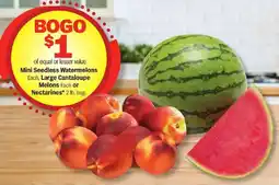 Meijer Mini Seedless Watermelons Each, Large Cantaloupe Melons Each or Nectarines* 2 lb. bag offer