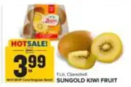 Food Lion Sungold Kiwi Fruit offer