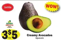 Sellers Bros Jumbo Creamy Avocados offer