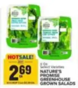 Food Lion Nature's Promise greenhouse grown salads offer
