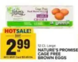 Food Lion Nature's Promise cage free brown eggs offer