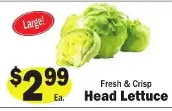 Sellers Bros Head Lettuce offer