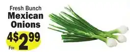 Sellers Bros Fresh Bunch Mexican Onions offer