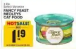 Food Lion Fancy Feast Medleys Cat Food offer