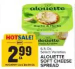 Food Lion Alouette soft cheese spread offer