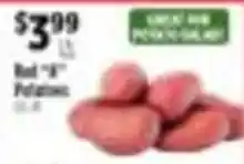 Pioneer Supermarkets Great Value potato salad offer
