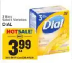 Food Lion Dial soap offer