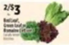 Pioneer Supermarkets Romaine Lettuce offer
