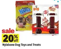 Meijer Nylabone Dog Toys and Treats offer
