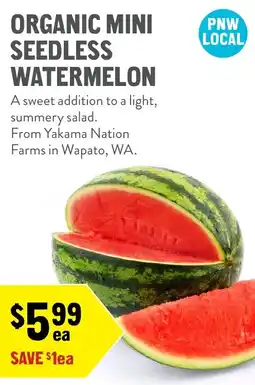 New Seasons Market Organic mini seedless watermelon offer
