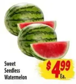 Food Giant Sweet Seedless Watermelon offer