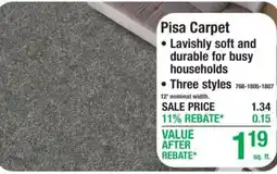 Menards Pisa Carpet offer