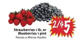 Foodmaxx Strawberries or Blueberries offer