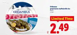 Lidl Eridanous grape leaves stuffed with rice offer