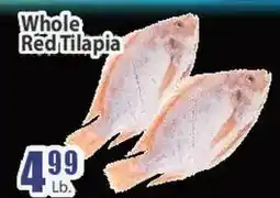 Key Food Whole Red Tilapia offer