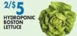 Compare Foods Hydroponic Boston Lettuce offer