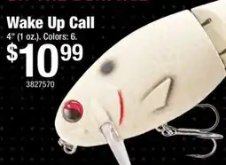 Cabela's Wake Up Call offer