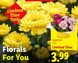Lidl fleurette mum offer