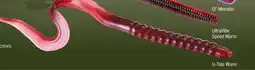 Cabela's U-Tale Worm offer