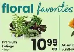 Safeway Premium Foliage offer