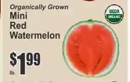 Key Food Mini Red Watermelon offer