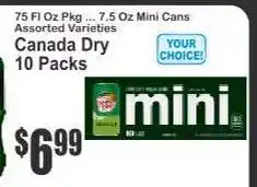 Key Food Canada Dry offer