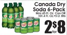 Supremo Foods Inc Canada Dry Soda 6-Pack offer