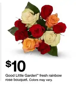 Target Good Little Garden fresh rainbow rose bouquet offer