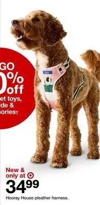 Target Hooray House pleather harness offer