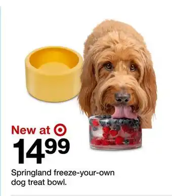 Target Springland freeze-your-own dog treat bowl offer
