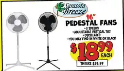 Ollie's Sarasota Breeze PEDESTAL FANS offer
