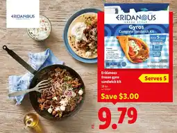 Lidl Eridanous frozen gyro sandwich kit offer