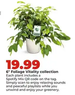 Hy-Vee 6 Foliage Vitality collection offer