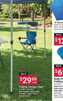 Ace Hardware Folding Canopy Chair offer