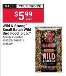 Ace Hardware Wild & Strong small batch wild bird food offer