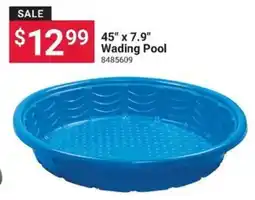 Ace Hardware Wading Pool offer