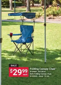 Ace Hardware Folding Canopy Chair offer