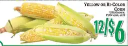 Trade Fair Supermarket Yellow or Bi-Color Corn offer